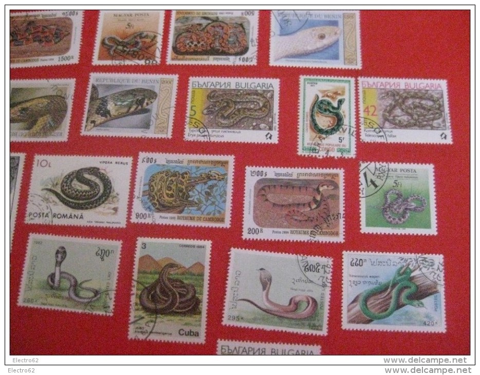 25 Timbres Serpent - Serpents