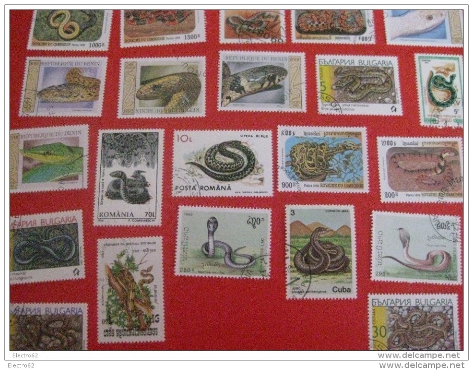 25 Timbres Serpent - Serpents