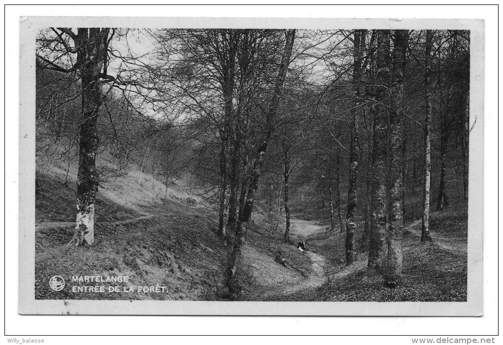 Carte Postale - MARTELANGE - Entrée De La Forêt - CPA  // - Martelange