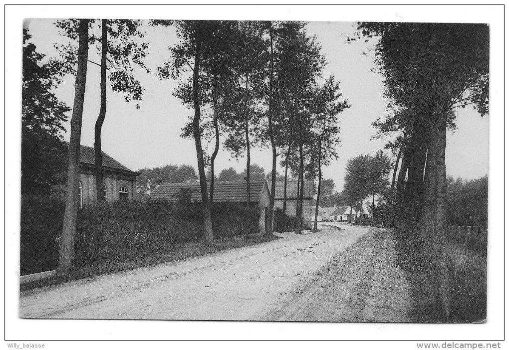 Carte Postale - MIDDELBURG - Vlaanderen - Polderken - CPA  // - Maldegem