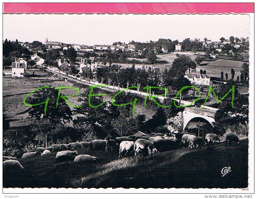 19 : USSEL Vue Générale Vers La Ville Et Le Pont Des Salles - Ussel