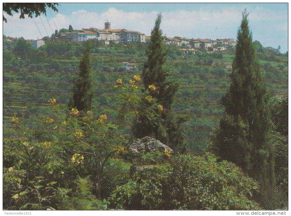 MONTAUROUX  VUE PANORAMIQUE (dil55) - Montauroux