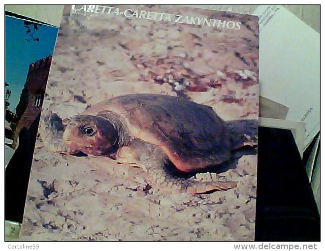 TARTARUGA  GRECIA   N1995 EN9822 - Turtles