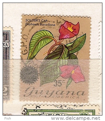 British & Guiana Ultramar (6) - Britisch-Guayana (...-1966)