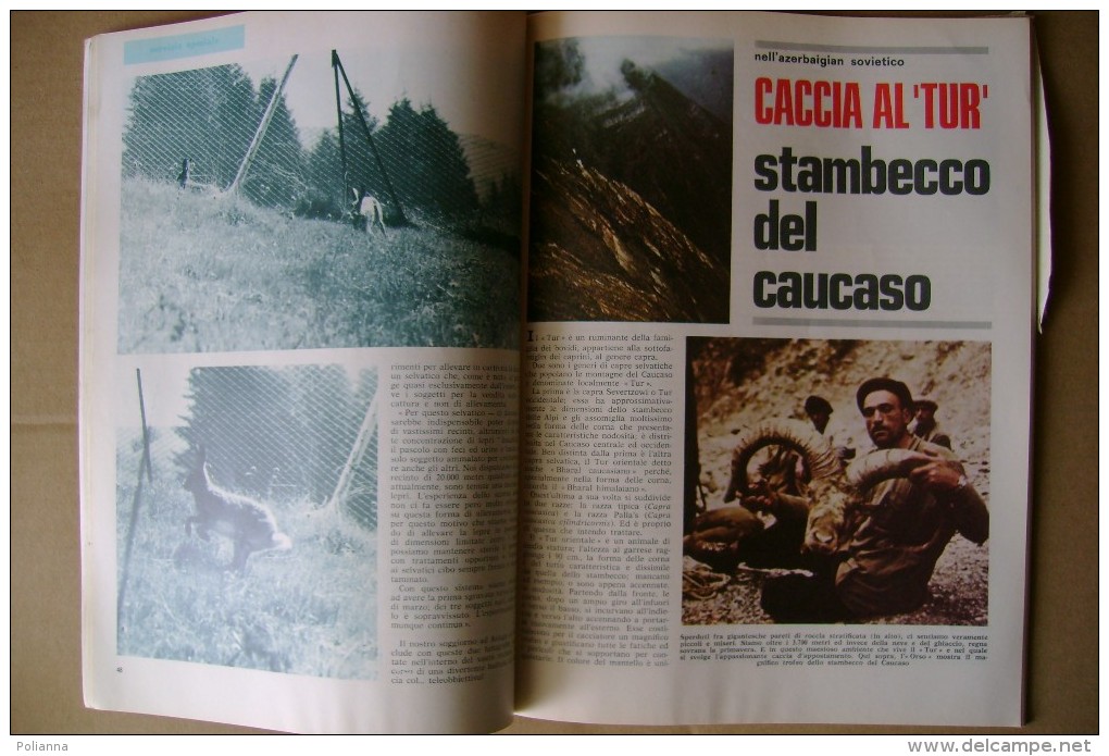 PCJ/4 DIANA Rivista Del Cacciatore N.13 Ed.Olimpia 1969/Stambecchi Sul Monte Rosa/Le Beccacce/Springer Spaniel Inglese - Sports