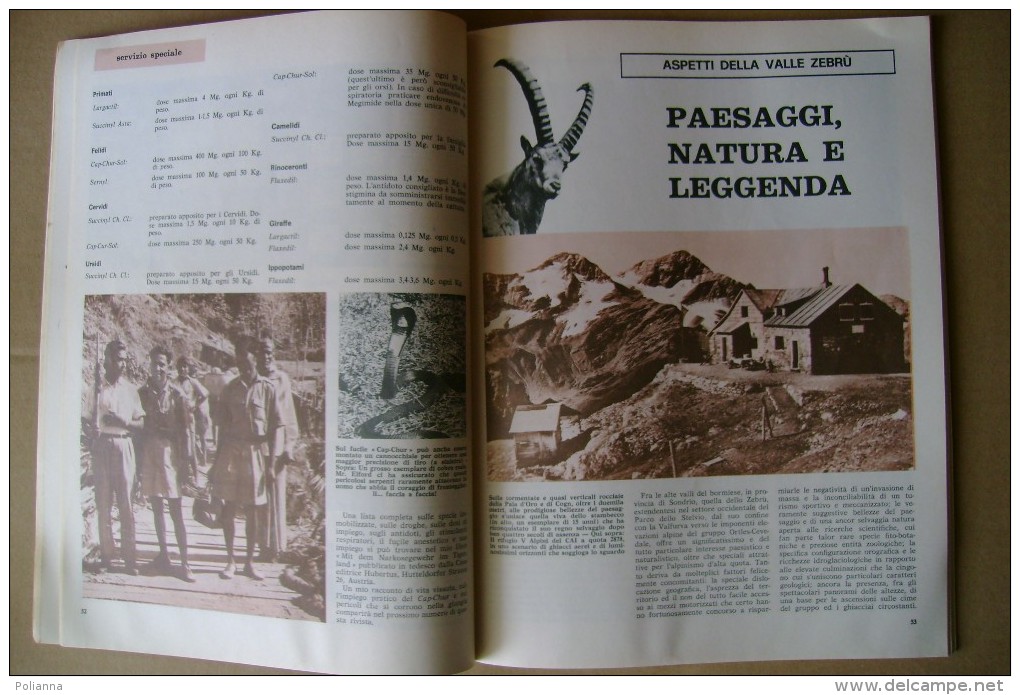 PCJ/5 DIANA Rivista Del Cacciatore N.19 Ed.Olimpia 1969/Lodola/Quaglie/Valle Zebrù/uccelli Rapaci/fucili Famars/CACCIA - Deportes