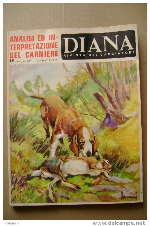 PCJ/6 DIANA Rivista Del Cacciatore N.16 Ed.Olimpia 1970/Pernici/Setter Inglese/puzzola/XXII Assemblea Naz. Federcaccia - Sport