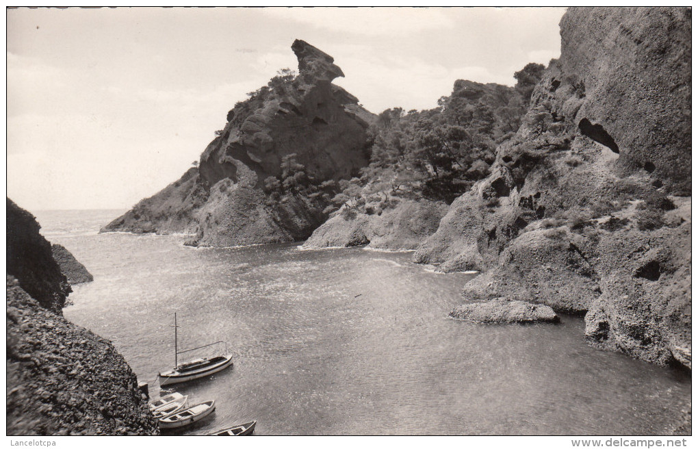 13 - LA CIOTAT / LA CALANQUE DE FIGUEROLLES - La Ciotat