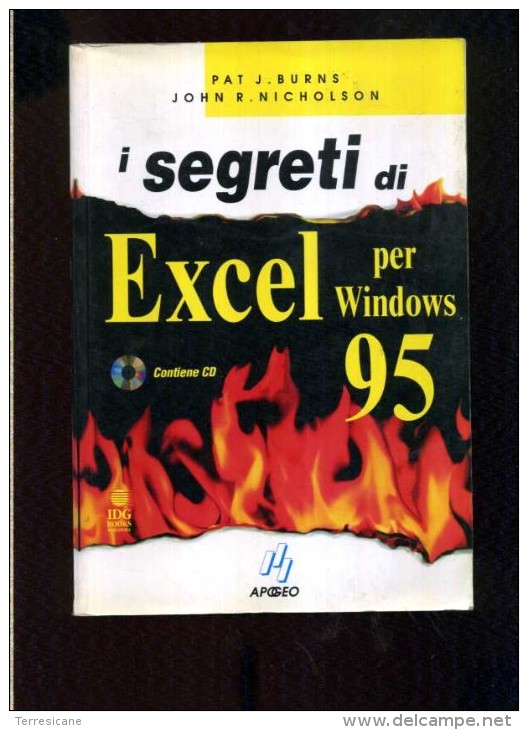 X Burns - Nicholson I Segreti Di Excel Per Windows 95 Apogeo - Informatik