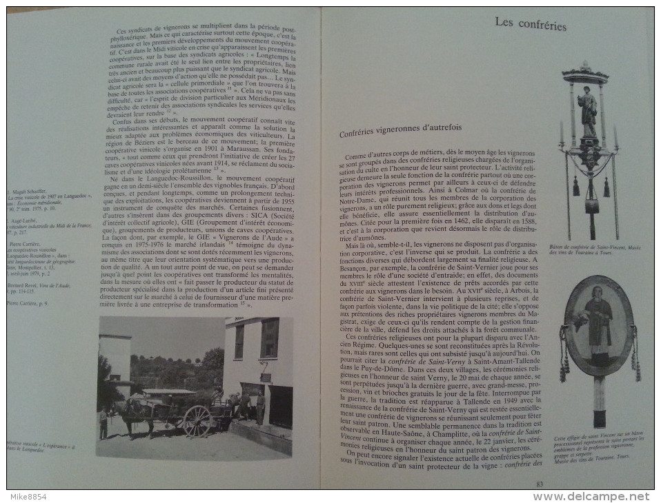 007  Les Vignerons - Usages et mentalités des pays de vignobles - Techniques et travaux Traditions coutumes religieuses