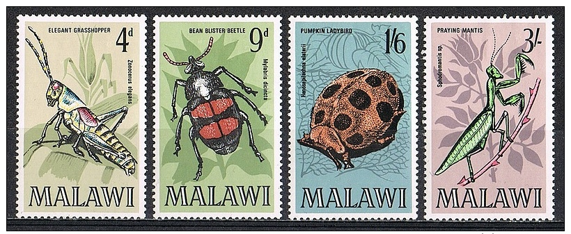 M108 FAUNA INSECTEN INSECTS KEVERS BEETLES MALAWI 1970 ONG/MH - Autres & Non Classés