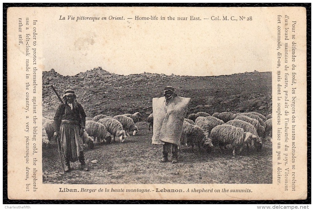 LEBANON - A SHEPHERD ON THE SUMMITS - Autres & Non Classés