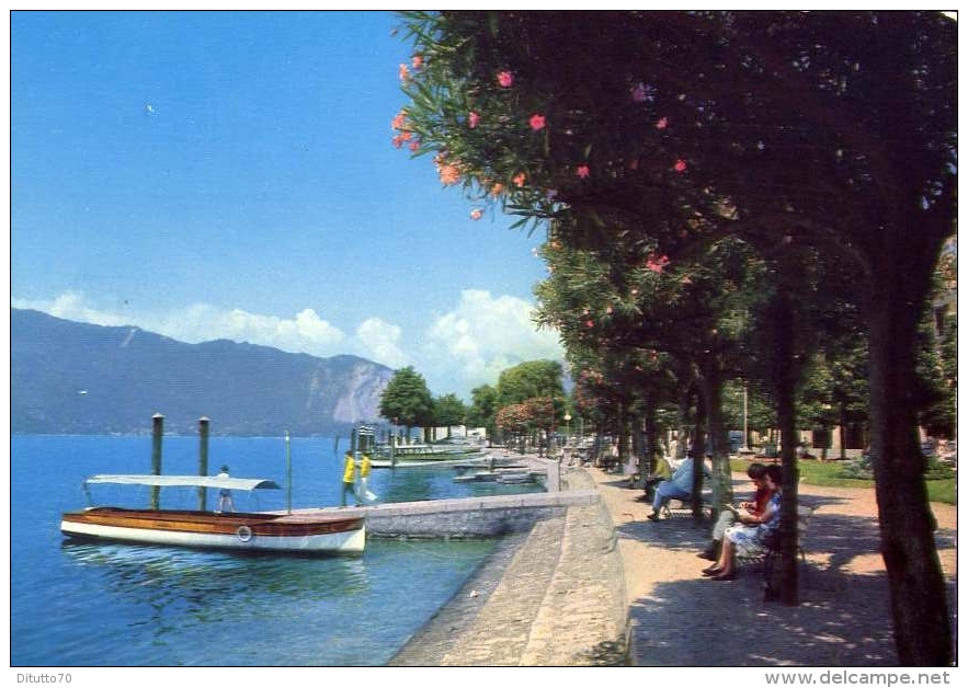 Pallanza - Lungolago - Lago Maggiore - 238 - Formato Grande Non Viaggiata - Verbania