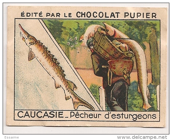 Image N° 211 De L´album "L´Asie". 1938. Chocolat Pupier. Russie Caucasie Pêcheur D'esturgeon Caviar Tiflis Caspienne - Autres & Non Classés