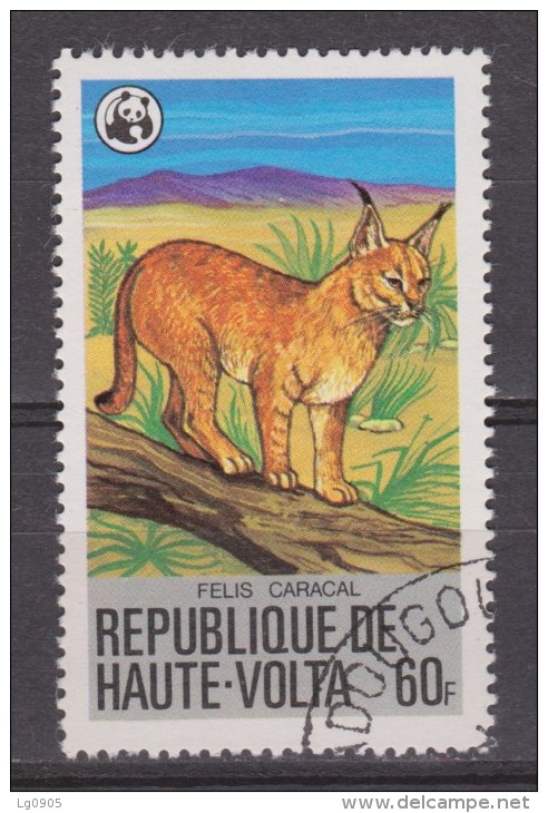 Haute Volta Used ; Luipaard, Leopard, Leopardo, Cheetah, Lynx WNF, WWF - Used Stamps