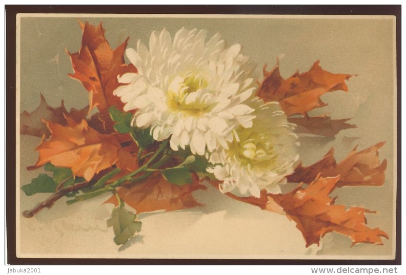 FLOWERS SIGNED KLEIN OLD POSTCARD #300 - Klein, Catharina