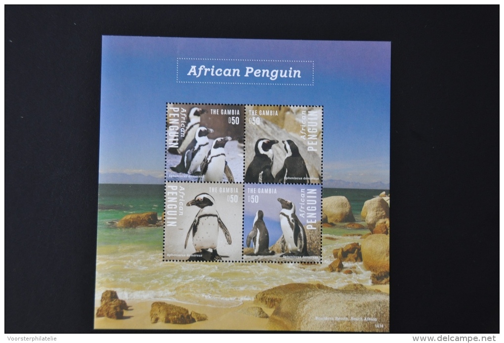 M1 102 ++ GAMBIA 2014 VOGELS BIRDS OISEAUX PENGUIN PINGUIN MNH ** - Gambia (1965-...)