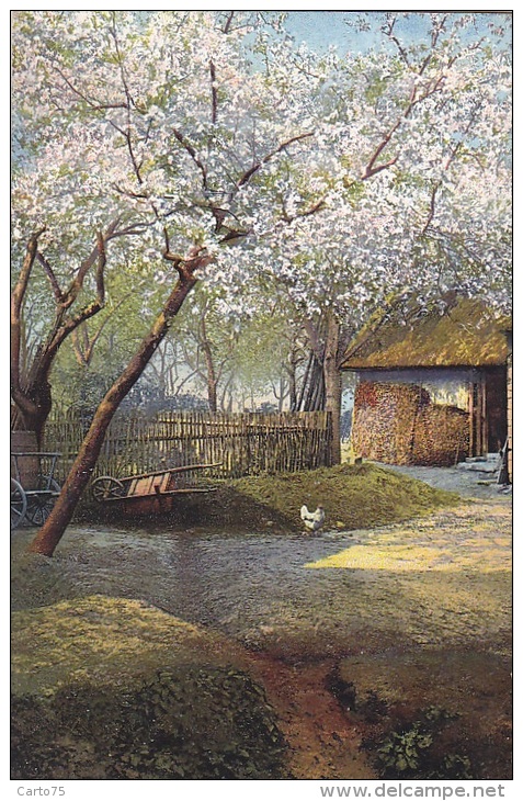 Allemagne -  Frühling -  Postmarked Alsfeld 1912 - Alsfeld