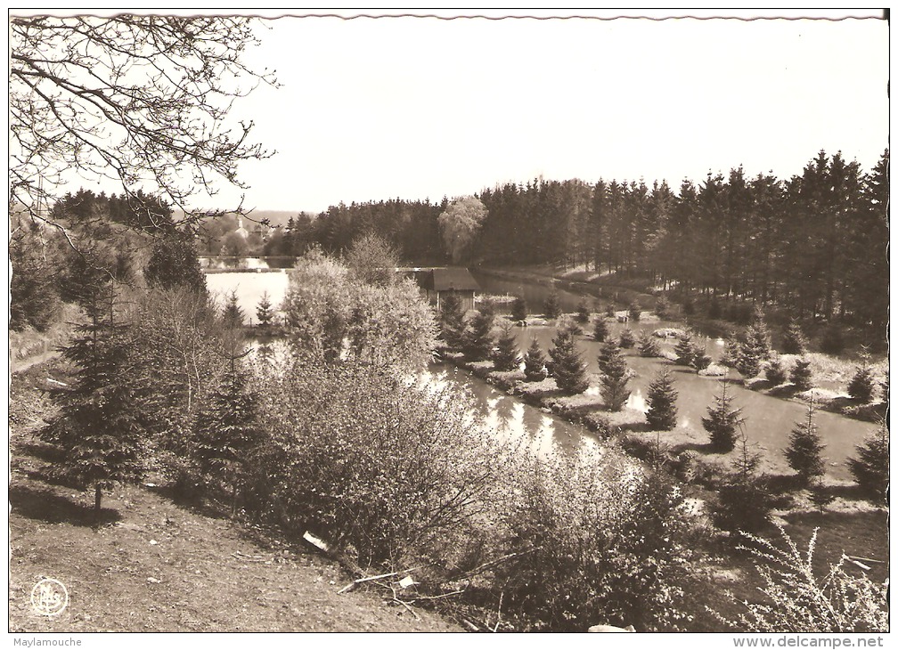 Ham-sur-heure Les Etangs - Ham-sur-Heure-Nalinnes