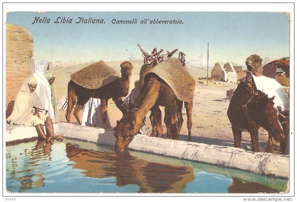 AFRICA - LIBIA - CAMELS AT THE WATER TROUGH - MARK INFERMERIA PRESIDIARIA MERG - Libya