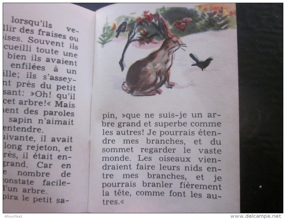 Petit Livre"Les Contes D´Andersen"Hans Christian Andersen"Le  Sapin "1ére Partie Illustrations En Chromo >> Vintage - Contes