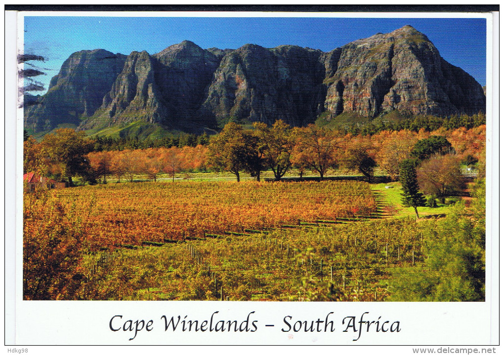 RSA+ Südafrika 2007 Mi 1747 Kaffernbüffel Auf Postkarte - Lettres & Documents
