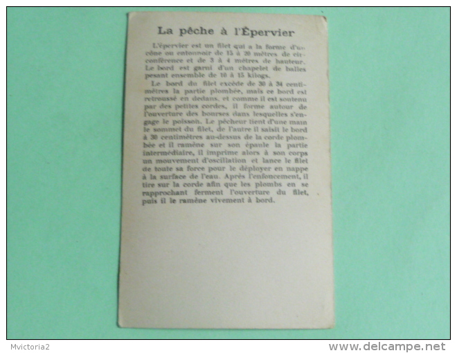 Carte Sur La Peche à L'épervier - Autres & Non Classés