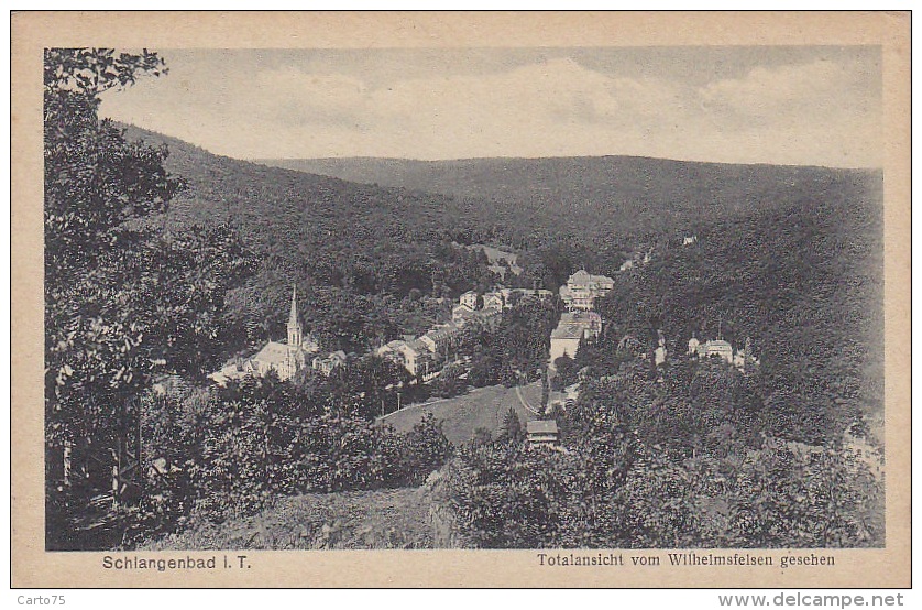 Allemagne -  Schlangenbad - Totalansicht - Schlangenbad