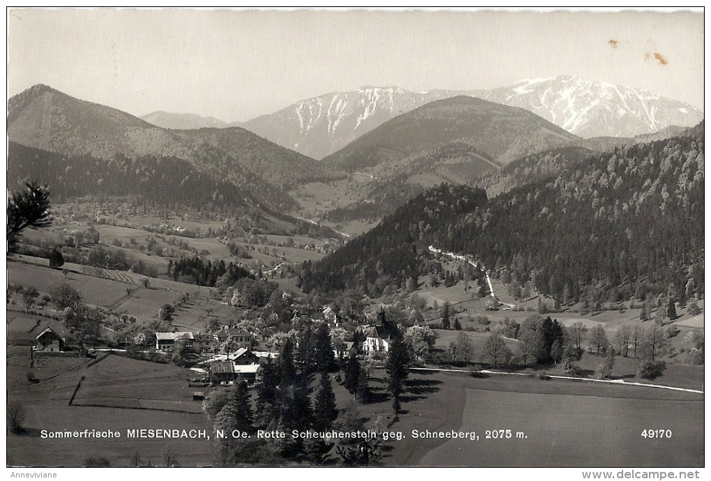 Miesenbach, N.Oe.Rotte Scheuchenstein Geg.Schneeberg - Other & Unclassified