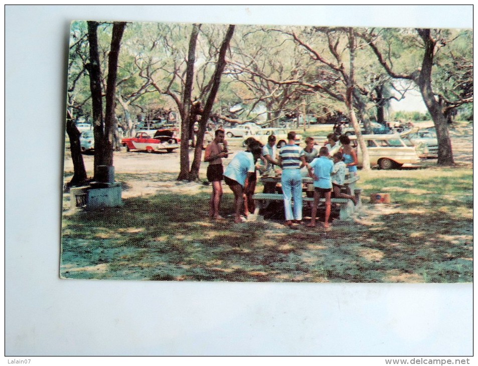 Carte Postale Ancienne : Family Picnic Areas , JEKYLL ISLAND - Autres & Non Classés