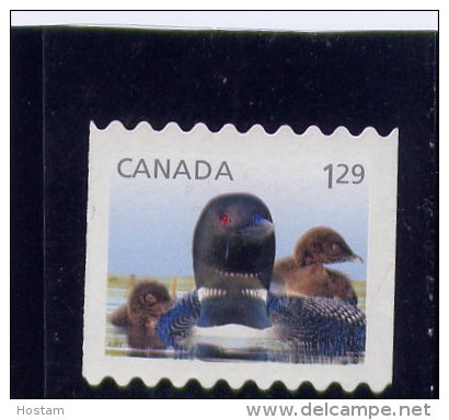 CANADA. 2012, Wildlife BABIES:  Young  Loons,   Used #2511 , Oversized Rate - Oblitérés