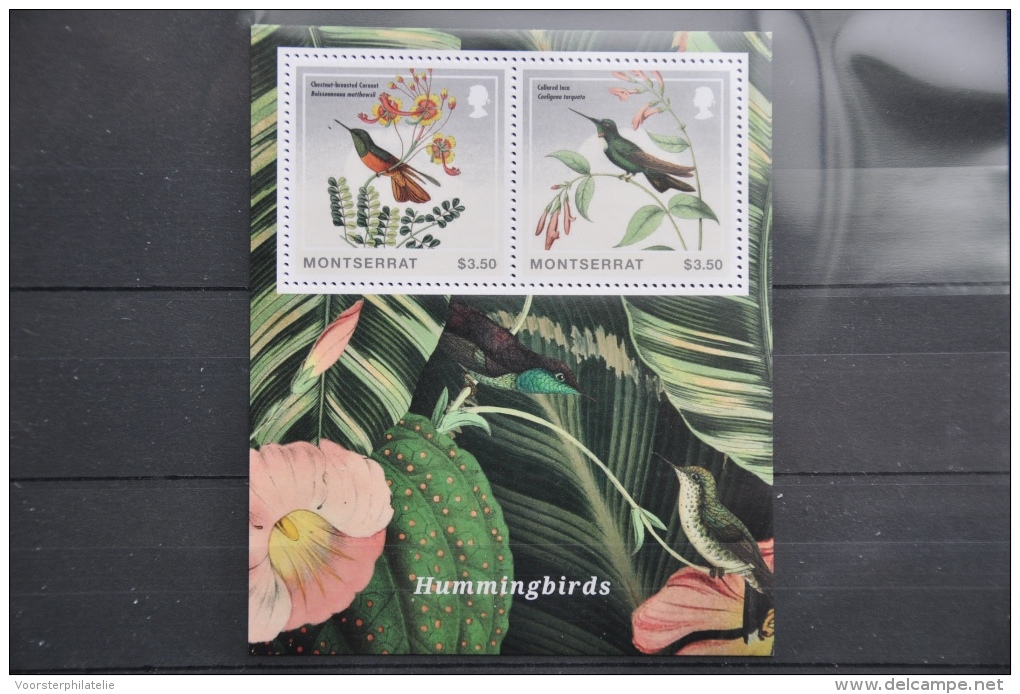 N 235++ MONTSERRAT 2014 VOGELS BIRDS OISEAUX HUMMINGBIRDS MNH ** - Montserrat