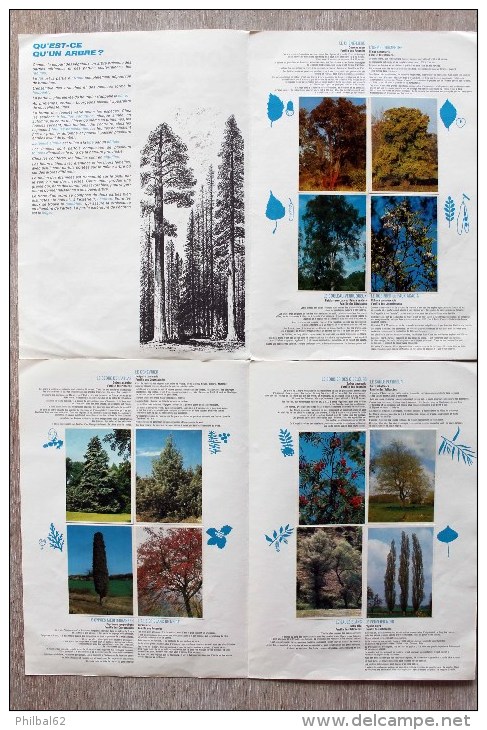 Images Chocolat POULAIN, Dossier Complet, 8 Pages Et 24 Images: Connaissance Des Arbres De Nos Forêts. 2 Photos. - Poulain