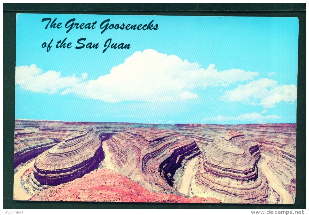 USA  -  The Great Goosenecks Of The San Juan  Unused Postcard As Scan - Monument Valley