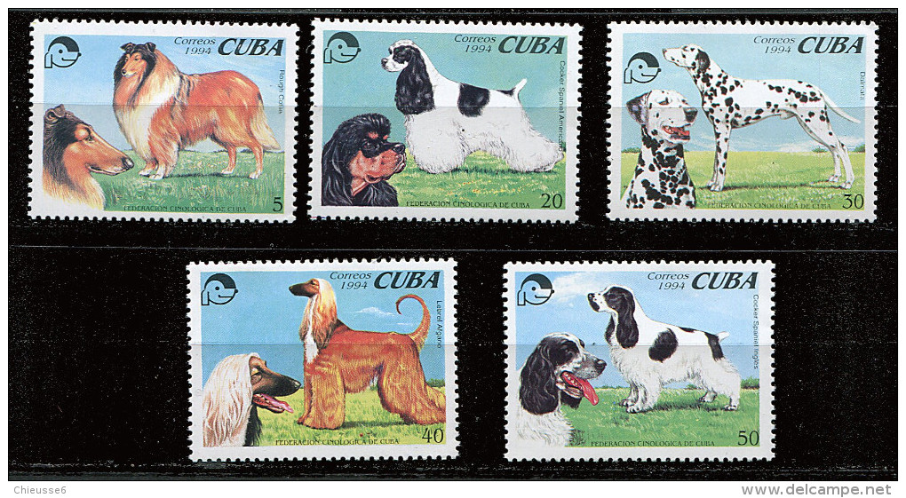 (cl 23 - P30) Cuba** N° 3391 à 3395 (ref. Michel Au Dos)- Chiens  - - Unused Stamps