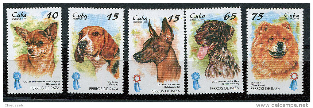 (cl 23 - P30) Cuba** N° 3708 à 3712 (ref. Michel Au Dos)- Chiens  - - Unused Stamps