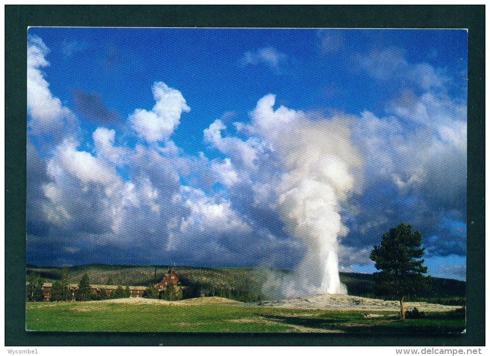 USA  -  Yellowstone  Old Faithful  Unused Postcard As Scan - Yellowstone