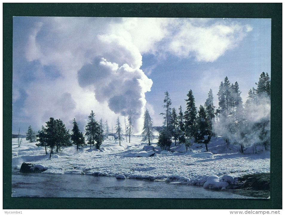 USA  -  Yellowstone National Park  Castle Geyser  Unused Postcard As Scan - Yellowstone