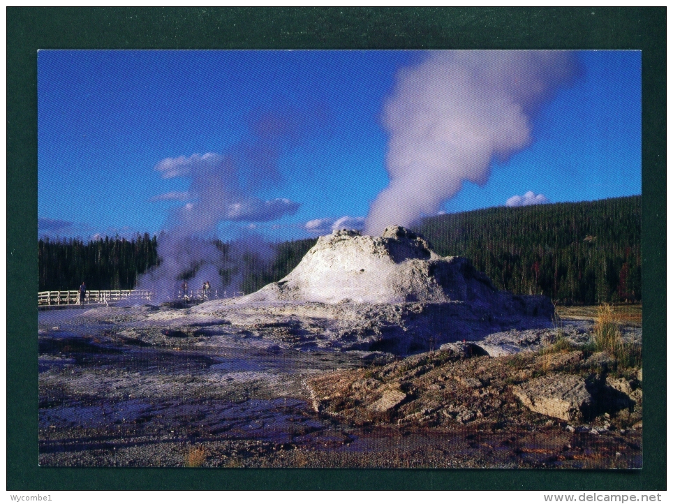 USA  -  Yellowstone National Park  Castle Geyser  Unused Postcard As Scan - Yellowstone