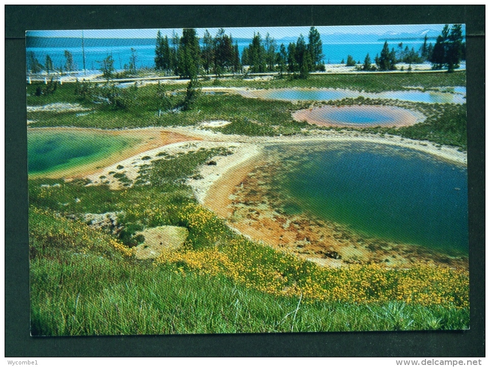 USA  -  Yellowstone National Park  Thumb Paint Pots  Unused Postcard As Scan - Yellowstone