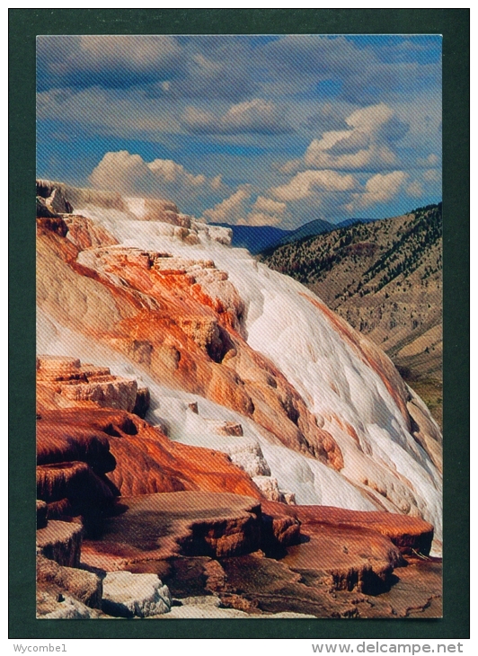 USA  -  Yellowstone National Park  Terraces At Mammoth  Unused Postcard As Scan - Yellowstone