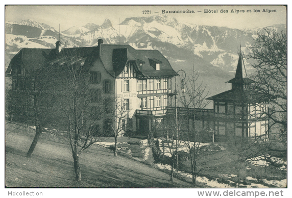 SUISSE BAUMAROCHE  / Beaumaroche Et Hôtel Des Alpes / - Bauma