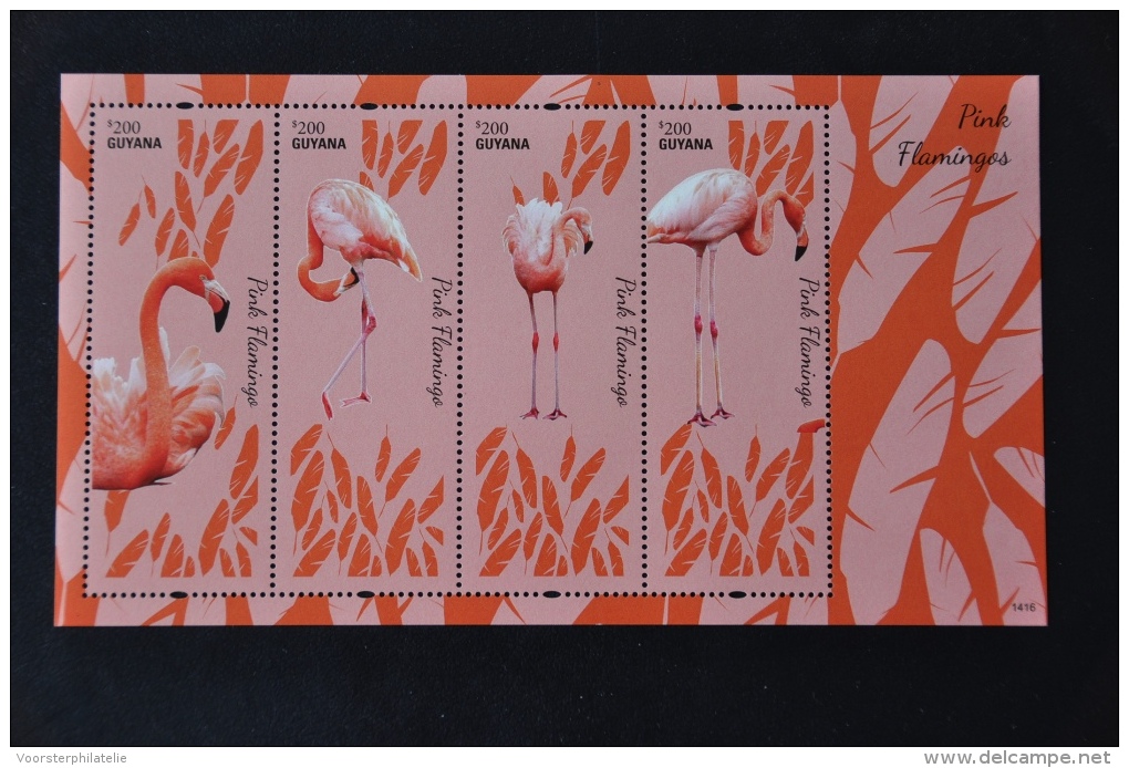 M1 03 ++ GUYANA 2014 BIRDS OISEAUX VOGELS PINK FLAMINGOS MNH ** - Guyana (1966-...)