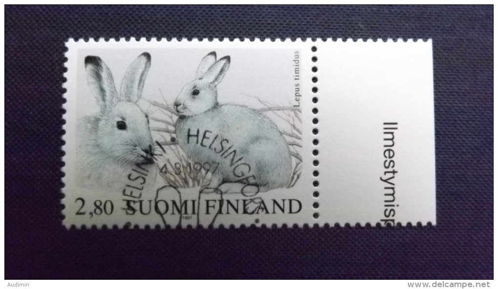 Finnland 1380 Oo/SST, Schneehase (Lepus Timidus) - Used Stamps