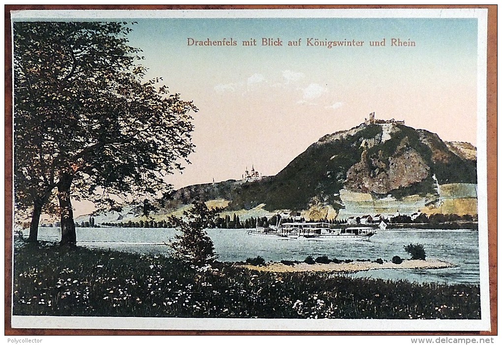 CP N° 79704 - Drachenfels Mit Blick Auf Königswinter Und Rhein - Colorisée - Drachenfels