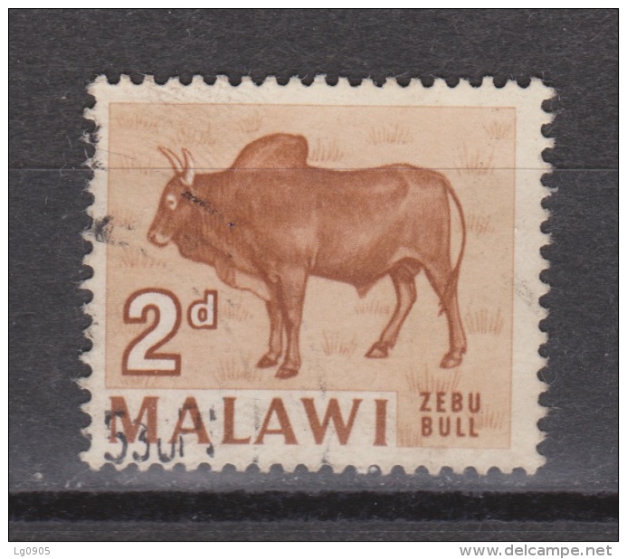 Malawi Used ; Koe, Cow , La Vache, Vaca, Bull, Stier - Koeien