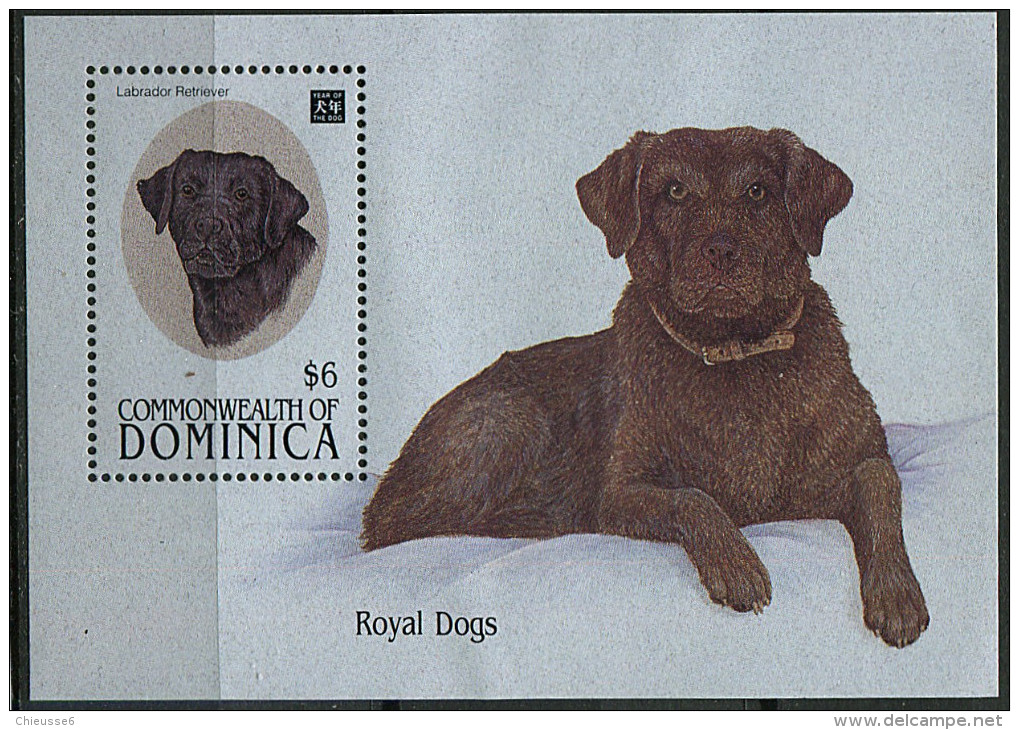 (cl 23 - P34) Dominique ** Bloc N° 2671-(ref. Michel Au Dos) Année Lunaire Du Chien. Le Labrador - - Dominica (1978-...)