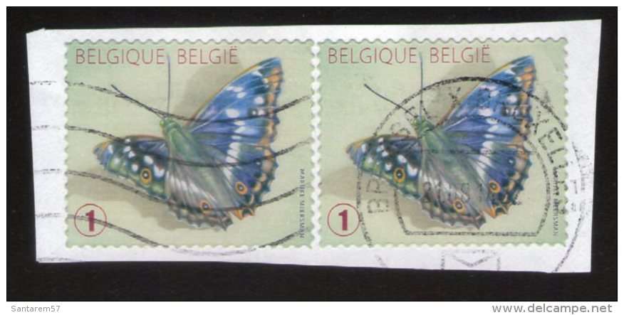 Belgique Lot 2 Oblitérés Used Stamp Papillons De La Boîte Papilio Sur Fragment - Usados