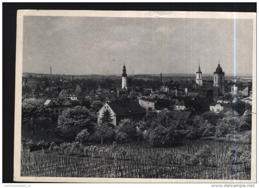 Grunberg-stadt Des Weinbaues-used-perfect Shape - Gruenberg