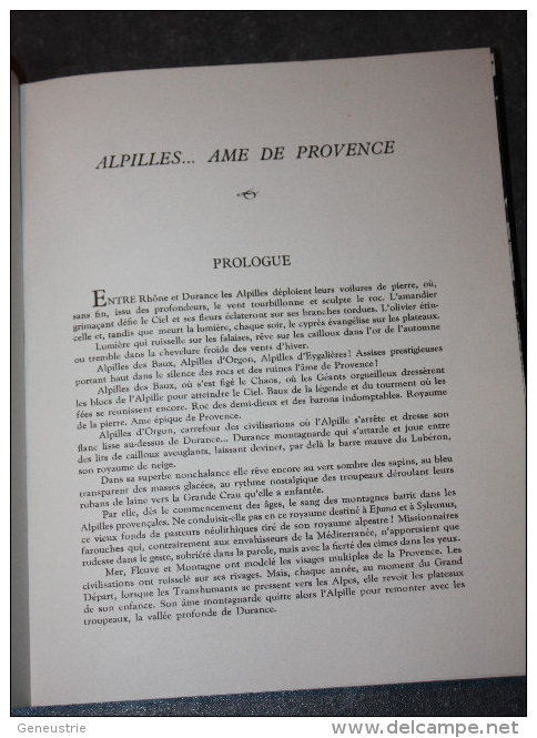 Livre Ancien "Les Alpilles Au Coeur De La Provence" Par M. Pezet - Très Nombreuses Illustrations - Les Baux - Saint Rémy - Provence - Alpes-du-Sud